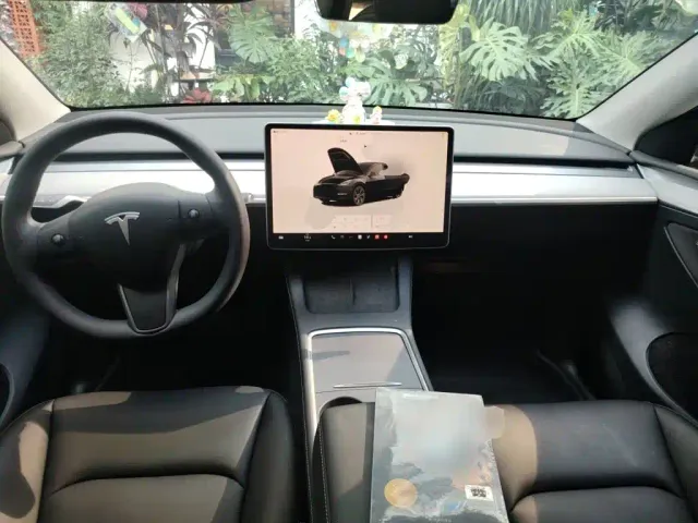 Tesla Model Y — Фото автомобиля 10