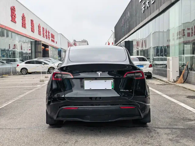 Tesla Model Y — Фото автомобиля 11