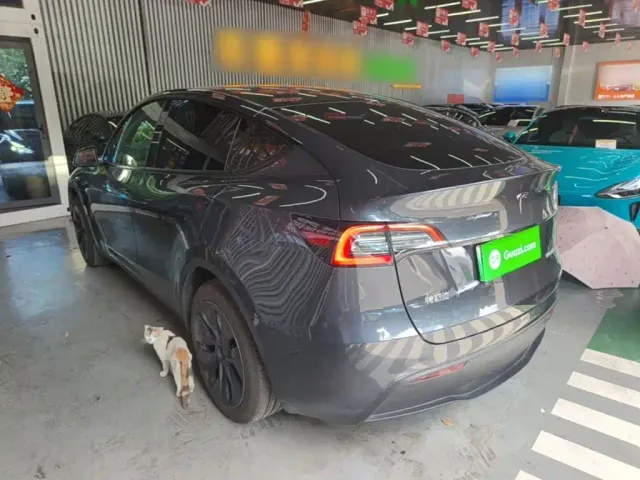 Tesla Model Y — Фото автомобиля 4
