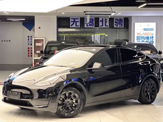 Tesla Model Y — Фото автомобиля 2