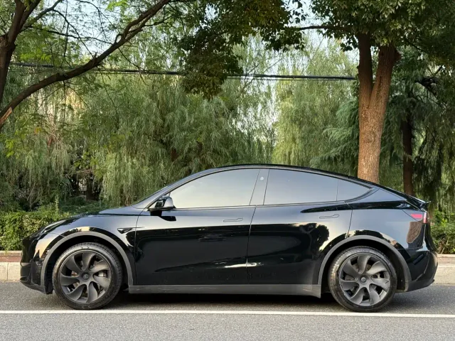 Tesla Model Y — Фото автомобиля 2