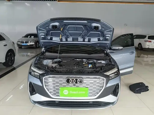 Audi Q4 e-tron — Фото автомобиля 19