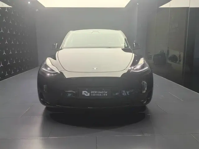 Tesla Model Y — Фото автомобиля 2