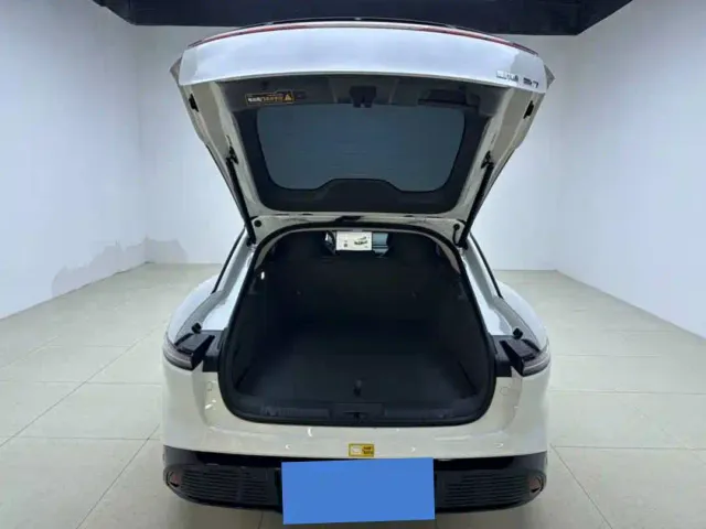 Forthing Xinghai S7 — Фото автомобиля 9