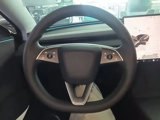 Tesla Model 3 — Фото автомобиля 10