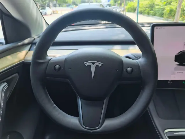 Tesla Model Y — Фото автомобиля 12