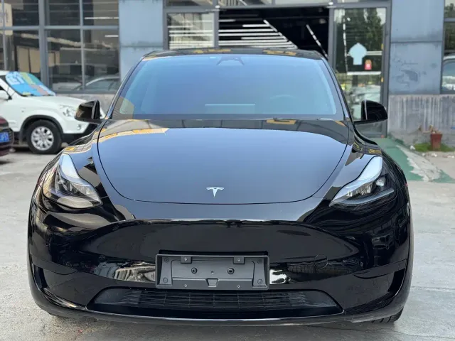 Tesla Model Y — Фото автомобиля 2