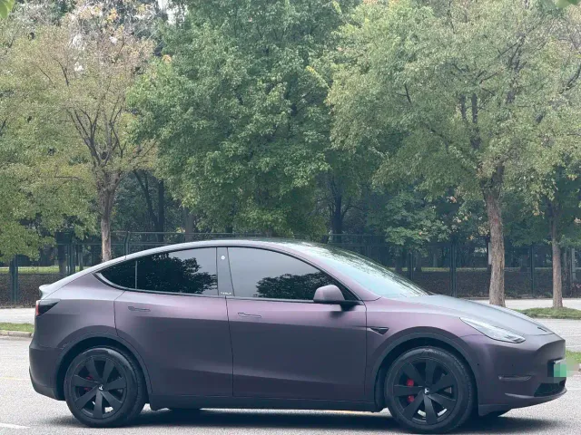 Tesla Model Y — Фото автомобиля 4