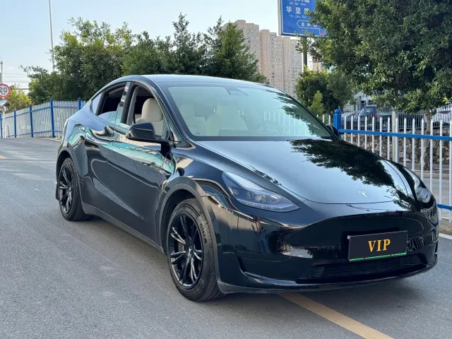 Tesla Model Y — Фото автомобиля 3