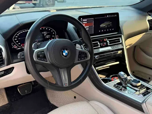 BMW 8 Series — Фото автомобиля 7