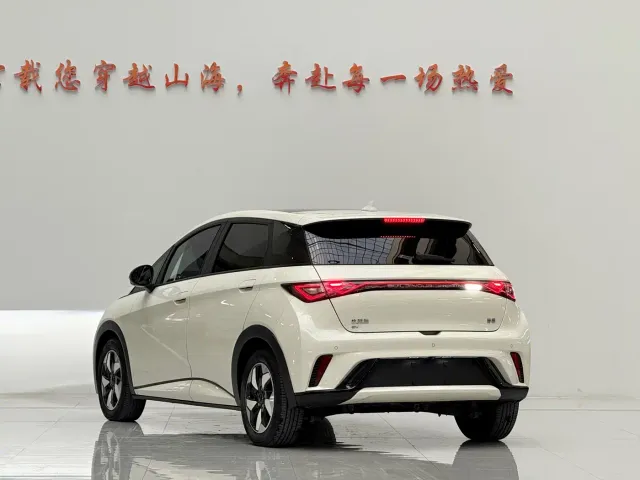 BYD Dolphin — Фото автомобиля 5