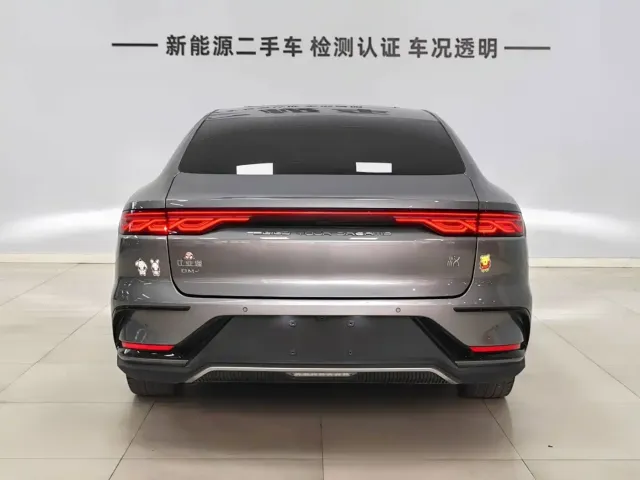 BYD Han — Фото автомобиля 6
