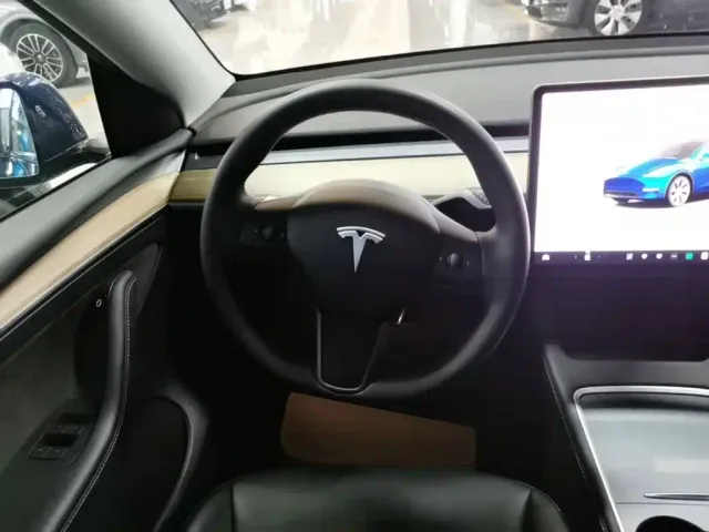 Tesla Model Y — Фото автомобиля 10