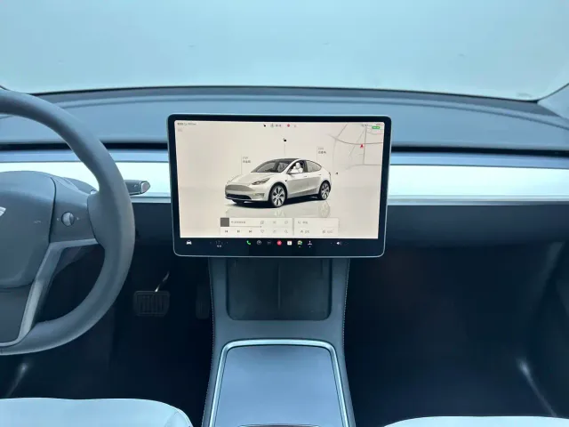 Tesla Model Y — Фото автомобиля 20
