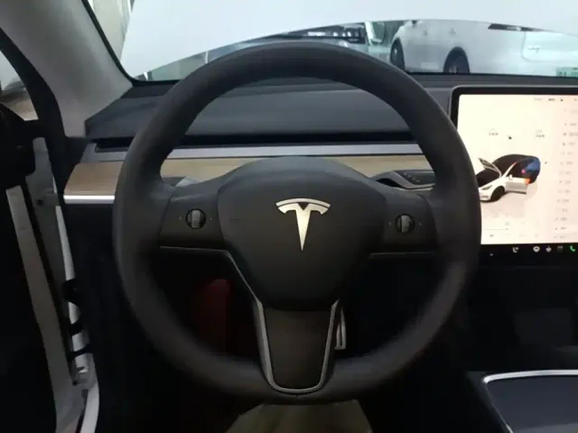 Tesla Model Y — Фото автомобиля 10