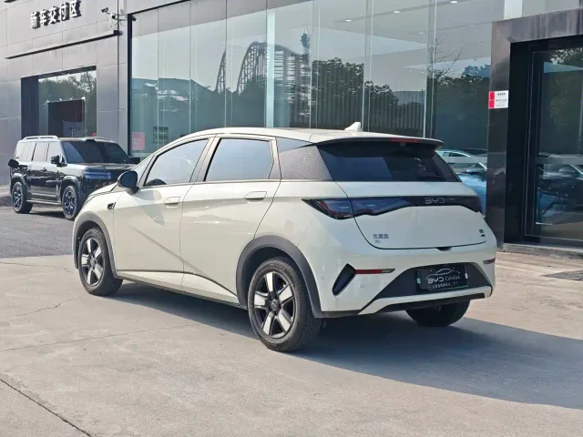 BYD Dolphin — Фото автомобиля 9