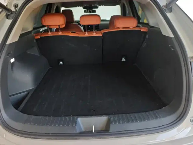 Haval Xiaolong MAX — Фото автомобиля 4