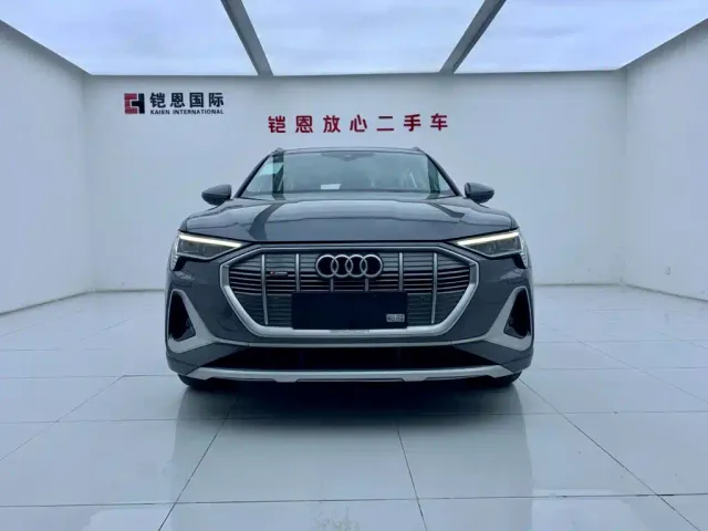 Audi e-tron — Фото автомобиля 3
