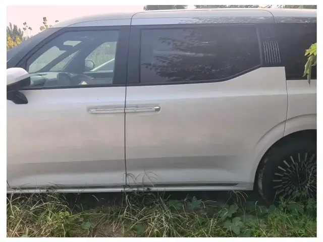 ZEEKR Zeekr 009 2024 6-seat Executive AWD 108kWh — Фото автомобиля 5