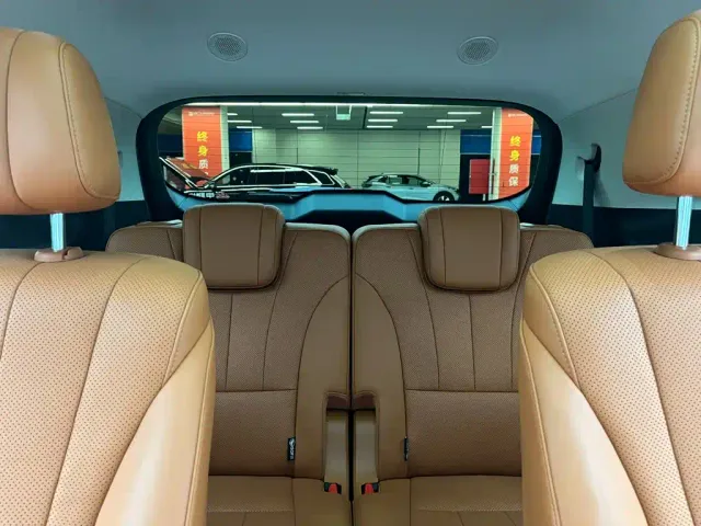 Wey Lanshan — Фото автомобиля 8