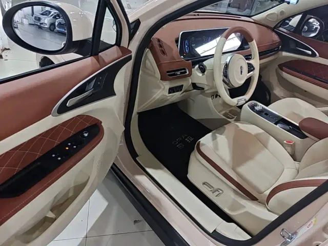 Ora Good Cat — Фото автомобиля 15