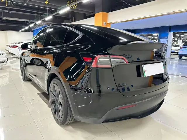 Tesla Model Y — Фото автомобиля 12