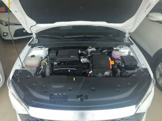 BYD Qin PLUS — Фото автомобиля 19