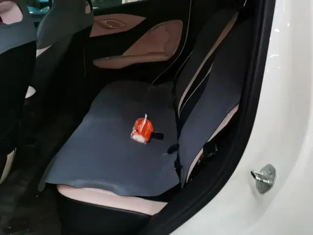 BYD Seagull — Фото автомобиля 12