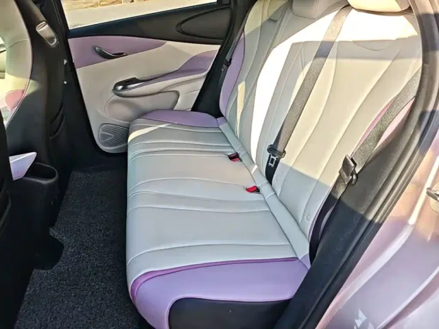 BYD Dolphin — Фото автомобиля 16