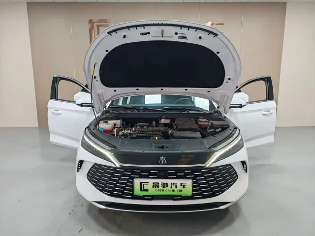 BYD Qin L — Фото автомобиля 12