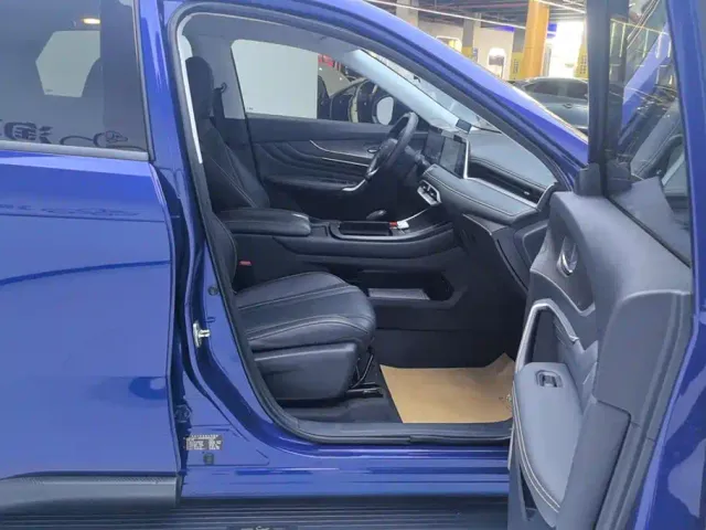 Venucia Venucia Big V 2021 260T Idol Edition — Фото автомобиля 8