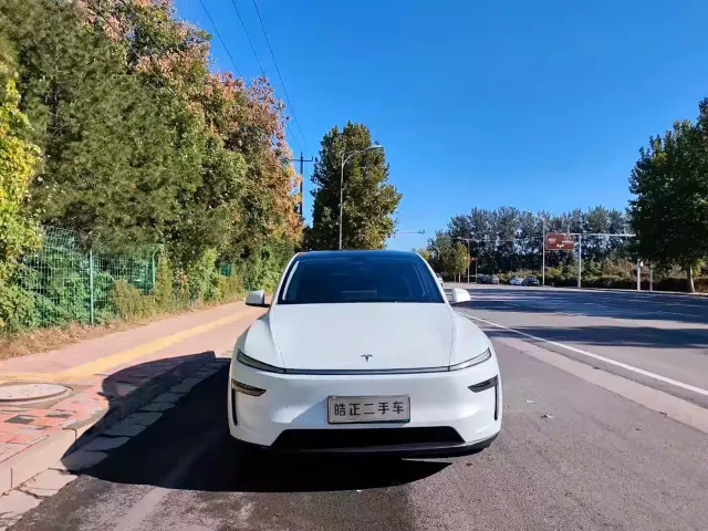 Tesla Model Y — Фото автомобиля 2