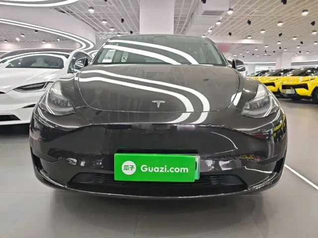 Tesla Model Y — Фото автомобиля 2