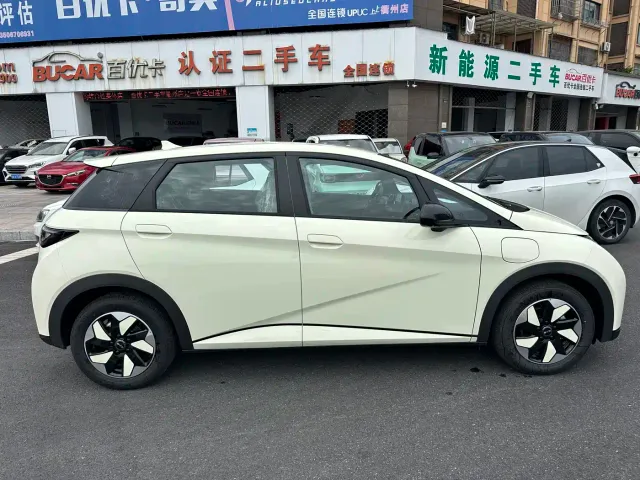 BYD Dolphin — Фото автомобиля 3