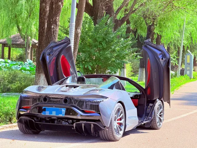 McLaren Artura — Фото автомобиля 13