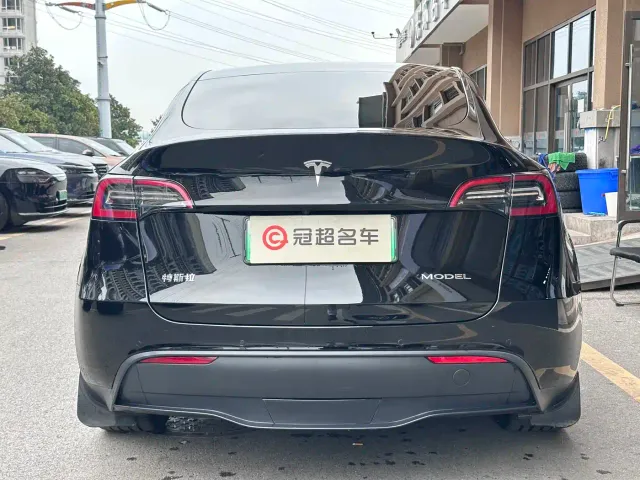 Tesla Model Y — Фото автомобиля 7