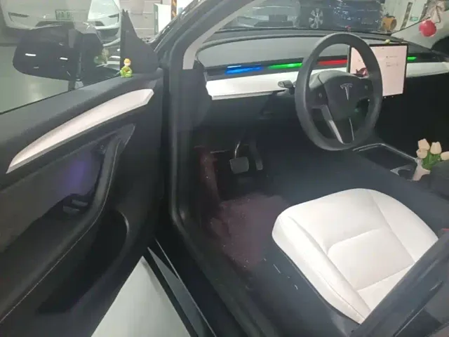 Tesla Model Y — Фото автомобиля 15