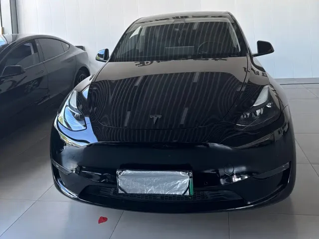 Tesla Model Y 2021 Standard Range Rear-Wheel Drive — Фото автомобиля 2