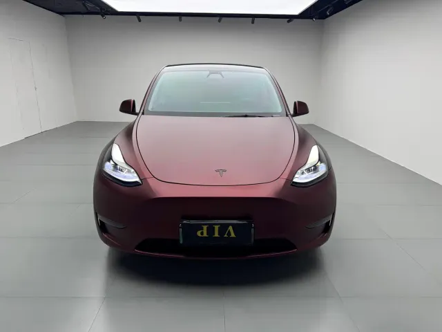 Tesla Model Y — Фото автомобиля 2