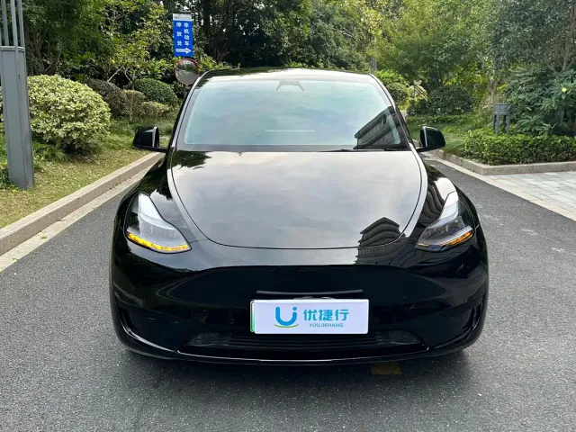 Tesla Model Y — Фото автомобиля 2