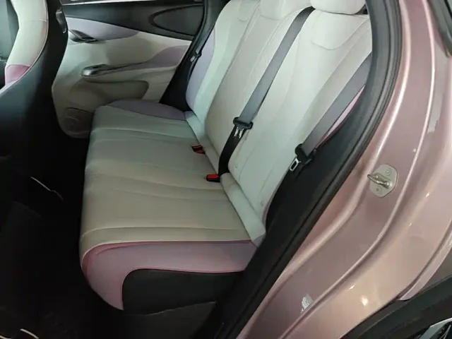 BYD Dolphin — Фото автомобиля 16