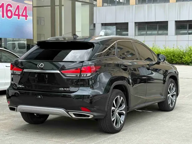 Lexus RX — Фото автомобиля 8