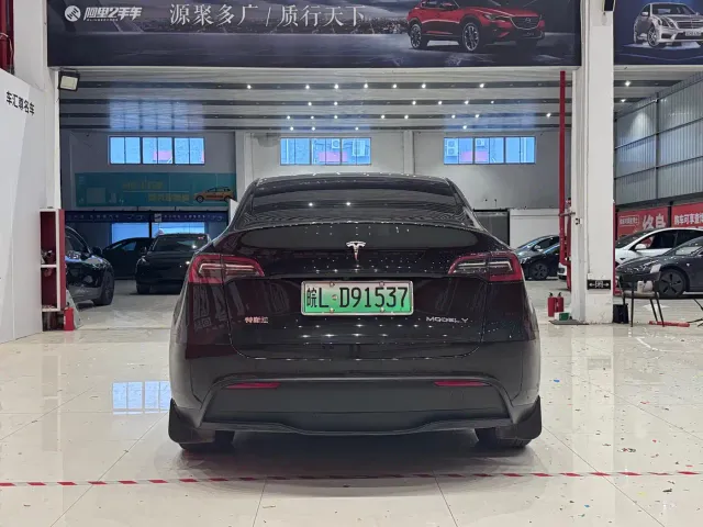 Tesla Model Y — Фото автомобиля 5