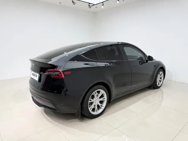 Tesla Model Y — Фото автомобиля 6