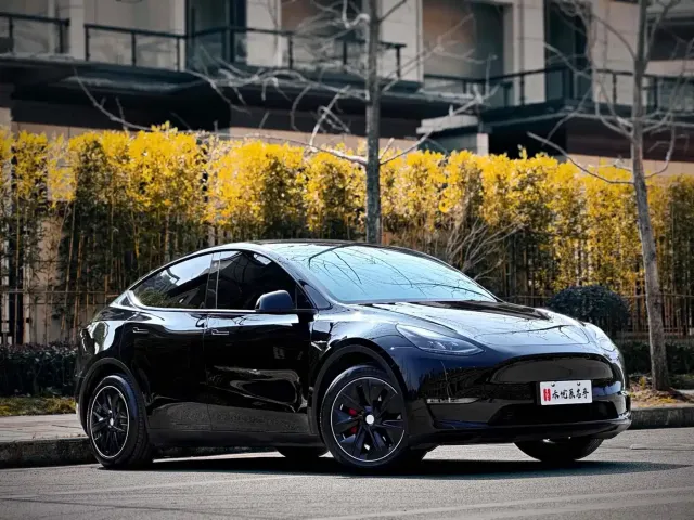 Tesla Model Y — Фото автомобиля 3