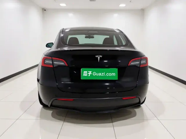 Tesla Model Y — Фото автомобиля 5