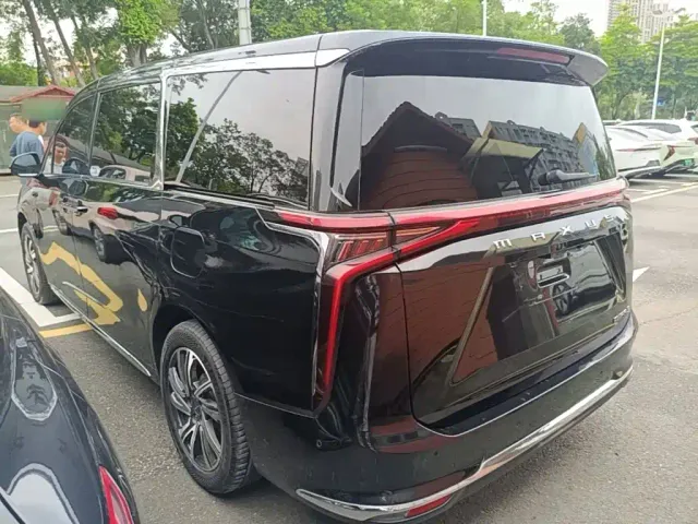 Maxus Dajia 9 — Фото автомобиля 4