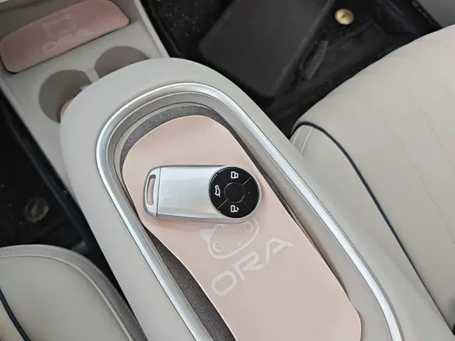 Ora Good Cat — Фото автомобиля 8