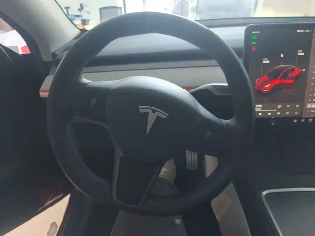 Tesla Model Y — Фото автомобиля 10