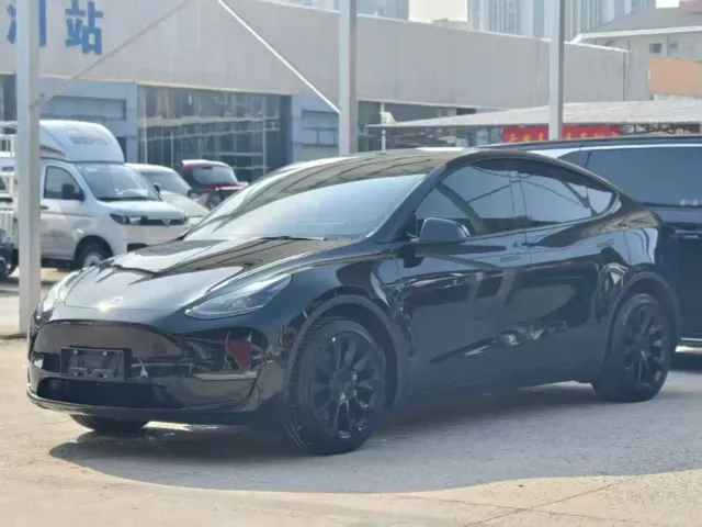 Tesla Model Y — Фото автомобиля 3